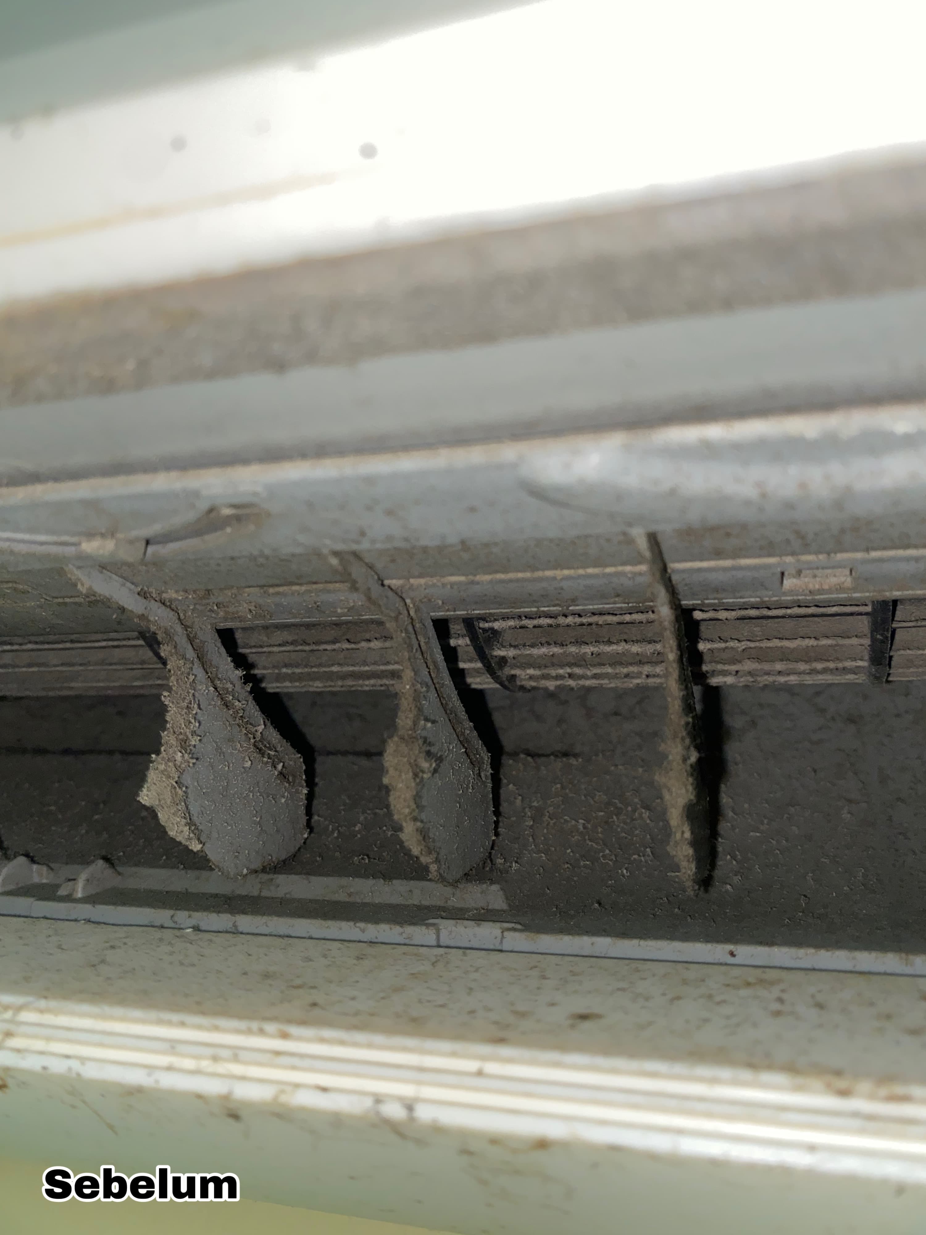 Before Fin Cleaning